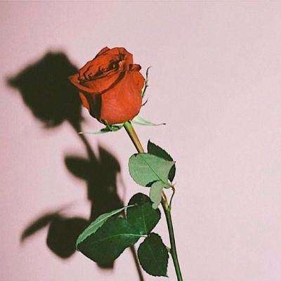 JN江南·体育注册